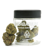 Herbarium | MAC | 14g