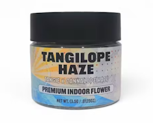 Zanna 3.5g Tangilope Haze