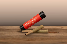 Hurley - Permanent Marker - 0.5g 2pk