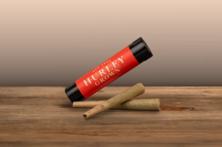 Hurley - Hurley - Permanent Marker - 0.5g 2pk