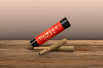 Hurley - Hurley - Permanent Marker - 0.5g 2pk Main Image