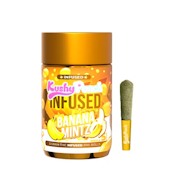 Kushy Punch 2.5G Infused Pre-roll Banana Mintz