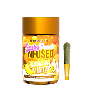Kushy Punch - Kushy Punch 2.5G Infused Pre-roll Banana Mintz