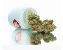 LOS CELOS FLOWER - PRISCILLAS GARDEN - 3.5g