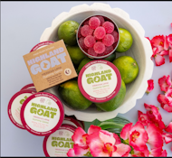 Hibiscus Lime | Hash Rosin | Gummy Gems | Edibles | 20pk/100mg (Highland Goat)