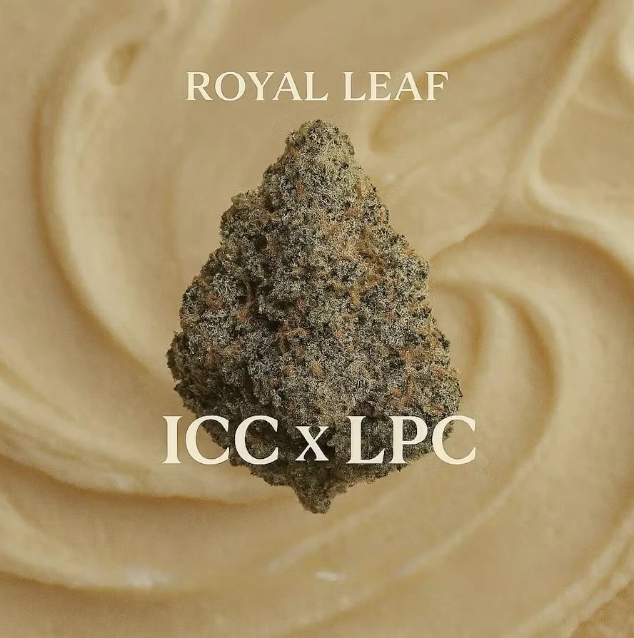 Royal Leaf - ICC x LPC - 3.5g Flower Main Image
