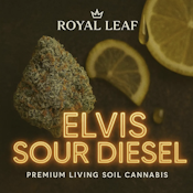 Elvis Sour Diesel - 3.5g Flower