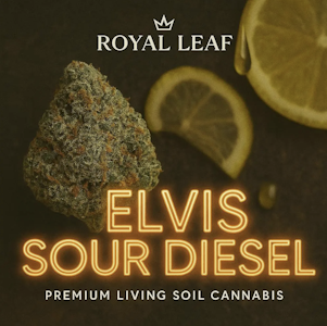 Royal Leaf - Elvis Sour Diesel - 3.5g Flower