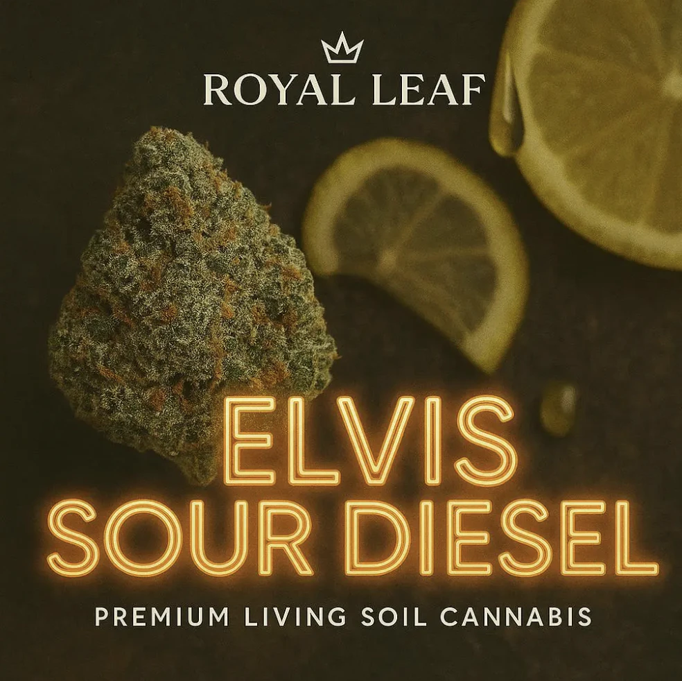 Royal Leaf - Elvis Sour Diesel - 3.5g Flower Main Image