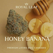 Honey Banana - 3.5g Flower