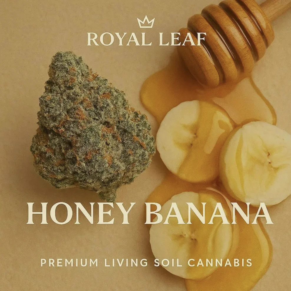 Royal Leaf - Honey Banana - 3.5g Flower Main Image