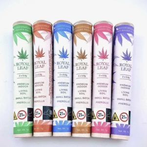 Royal Leaf - Black Maple - 2pk Pre-Rolls