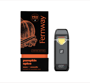 Fernway | Pumpkin Spice Disposable | 2g