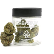 Herbarium | Black Cat | 14g