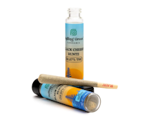 BLACK CHERRY RUNTZ PRE-ROLL- ROLLING GREEN-1g