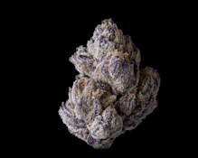 [Maven] Flower - 1g - Lipsmackerz (H)