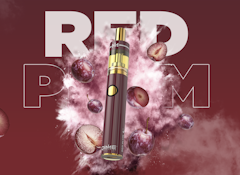 Red Plum *93% TAC* | 2g Disposable Vape | TAX INCLD