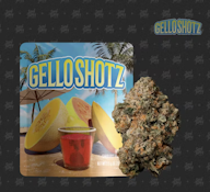 Gello Shotz - Indoor - 3.5g