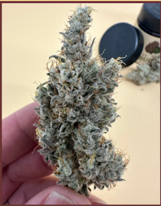 Bass River Buds - Flower | Bass River Buds | Mac V2 | 3.5g