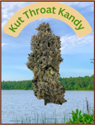 Flower | Bass River Buds | Kut Throat Kandy | 3.5g