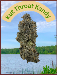 Bass River Buds - Flower | Bass River Buds | Kut Throat Kandy | 3.5g