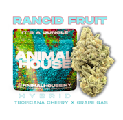 Rancid Fruit | Flower | 3.5g (Animal House)