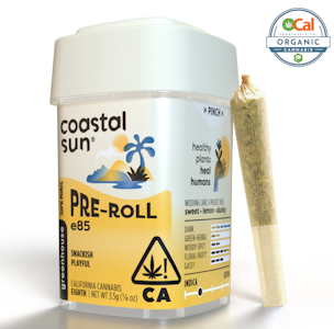 COASTAL SUN - 10pk - Vice City - 3.5g (IH) - Coastal Sun