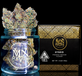 MAVEN GENETICS - Chem 51 - 3.5g (H) - Maven