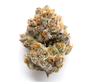 FRESH | Garlic Icing | 3.5g