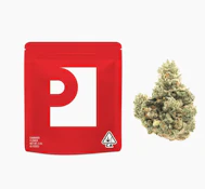 PREFERRED 3.5G Gorilla Glue #4 Premium Flower