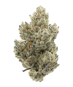 FRESH | Spreadsheet Cake | 3.5g