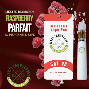 Jerzy Landscapes | Raspberry Parfait Disposable Vape | 1g