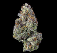 [Maven] Indoor Flower - 1g - Zuzu Berry (S)