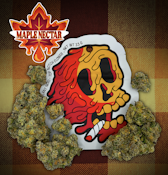 Maple Nectar (Pre-Packed 1G) Adult-Use