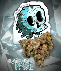 PLANT NERD - Platinum Pave` (Pre-Packed 1G) Adult-Use