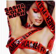 Flamer - Sasha Colby Kush - Bubble Hash Infused - .75g Preroll