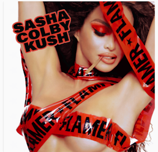 FLAMER - Flamer - Sasha Colby Kush - Bubble Hash Infused - .5g - Preroll - 5pk