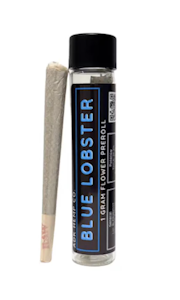 Adirondack Hemp Co - Blue Lobster pre-roll | 1g