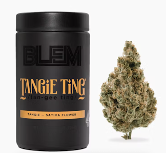 BLEM - BLEM 10G Tangie Ting Indoor Flower