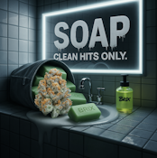 Soap 0.5g 2 Pack Pre Rolls (S) 00379