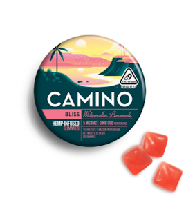 CAMINO - Edibles | Camino | Watermelon Lemonade | 100mg