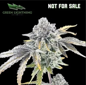 Green Lightning - Flower | Green Lightning | Not For Sale | 28g Mixed Buds