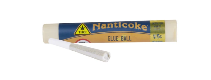 Nanticoke - Nanticoke | Pre-Roll - Glueball | .5g Main Image