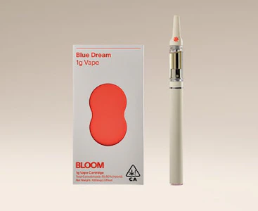BLOOM - Bloom Surf - Disposable - Fire Mango - 1G