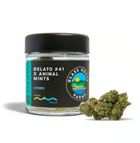 Next Day - Gelato 41 x Animal Mints - Jarred (Eighth)