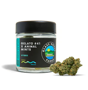 Glass House - Gelato 41 x Animal Mints - Jarred (Eighth)
