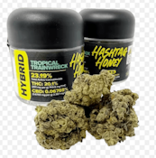 Hashtag Honey | Flower | Tropical Trainwreck | 3.5g