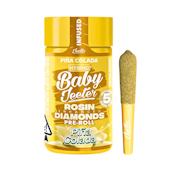 Pina Colada | 5 Pack - Quad Infused - Baby Jeeter Pre-Rolls | Jeeter