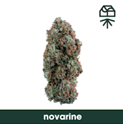 Flower | Buds | Grassroots | Novarine | 3.5g