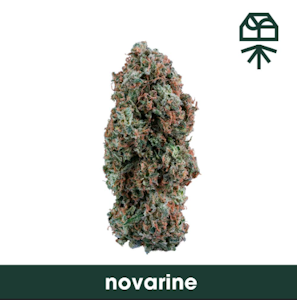 GRASSROOTS (NM) - Flower | Buds | Grassroots | Novarine | 3.5g
